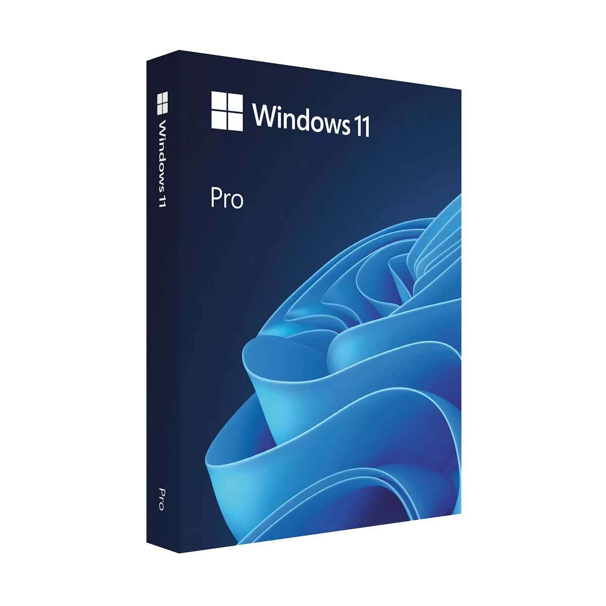 Windows 11 Pro 64-Bit, ESD